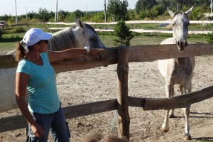 Казкове село і приватна виноробня: гастроподорож Київщиною